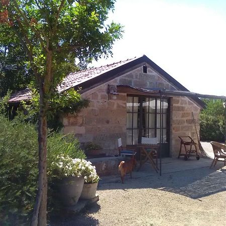 Casetta Vacanza In Campagna Aradeo Екстериор снимка