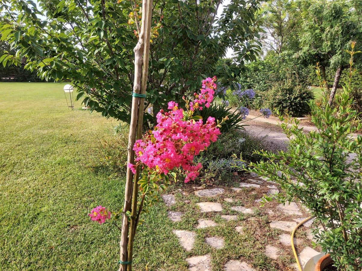 Casetta Vacanza In Campagna Aradeo Екстериор снимка