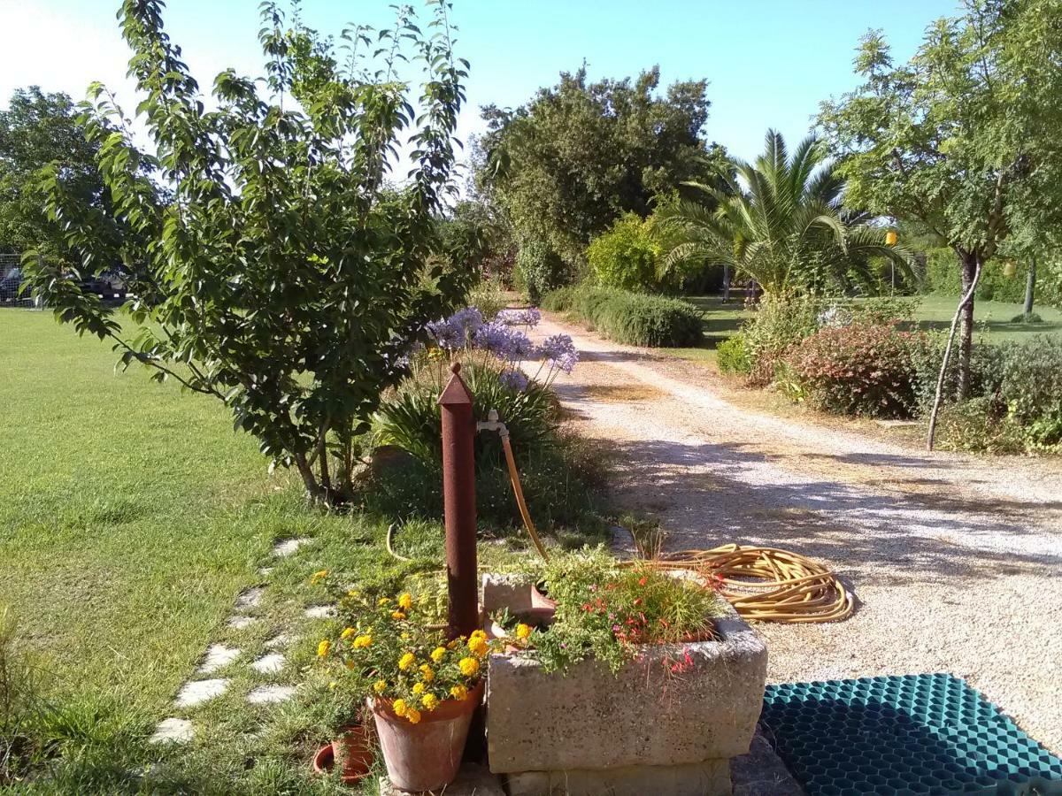 Casetta Vacanza In Campagna Aradeo Екстериор снимка