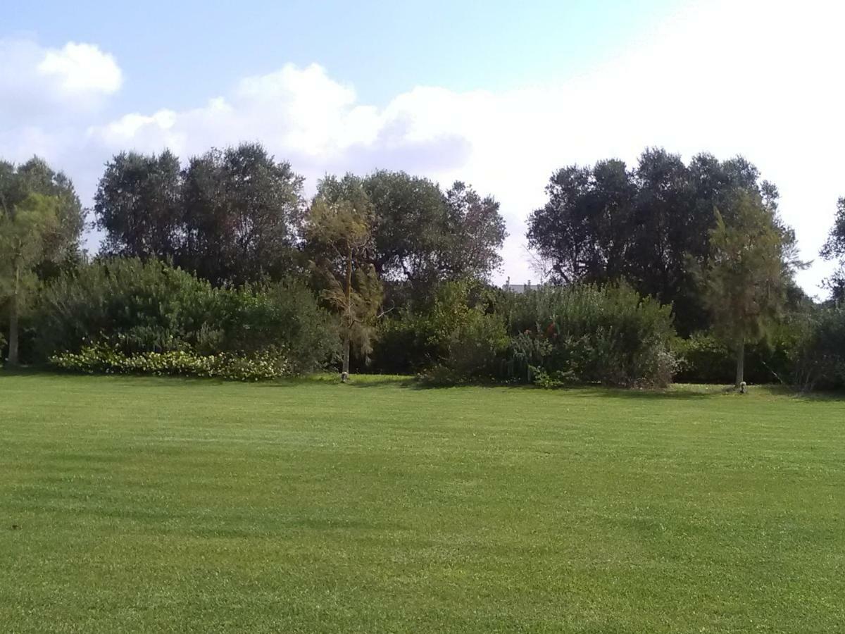 Casetta Vacanza In Campagna Aradeo Екстериор снимка