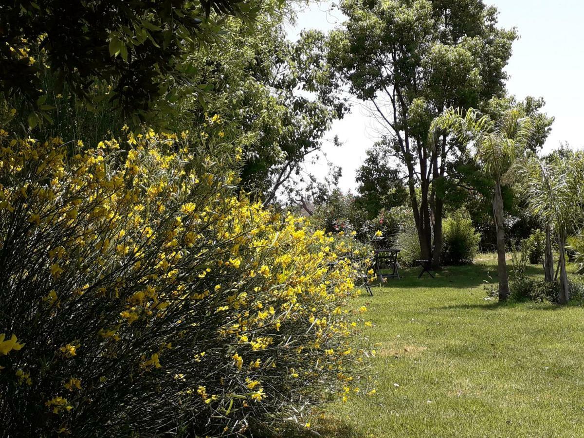 Casetta Vacanza In Campagna Aradeo Екстериор снимка